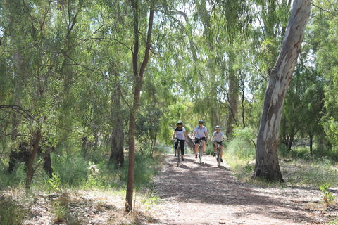Hay Free Push Bikes - Accommodation in Brisbane 0