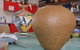 Hermannsburg Potters - thumb 1