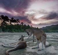 How to Holiday on The Hibiscus Coast with your Family - Accommodation in Brisbane