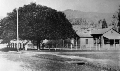 Jamieson Museum - Accommodation in Brisbane 0