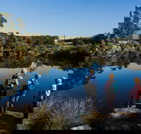 Kalgan River - Accommodation in Brisbane