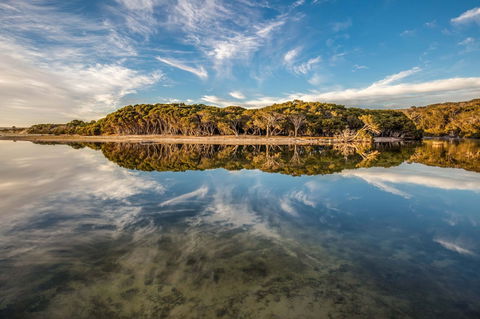 Lashmar Conservation Park - Accommodation in Brisbane 0
