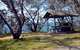 Little Bay Picnic Area - thumb 0