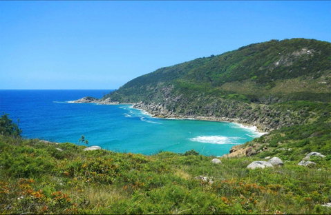 Little Bay Beach - Accommodation in Brisbane 0