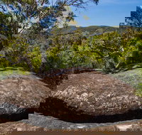 Marramarra Ridge to Smugglers Ridge walking track - Accommodation in Brisbane