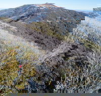 Mt Buller Bike Park - Accommodation in Brisbane