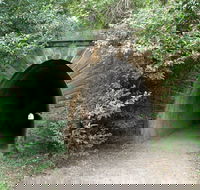 Mushroom Tunnel - Accommodation in Brisbane