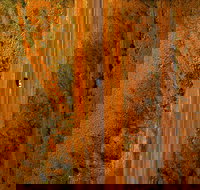 Newcastle Waters - Accommodation in Brisbane