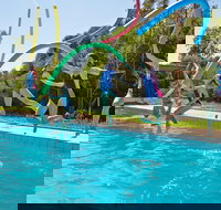 Oaklands War Memorial Swimming Pool - Accommodation in Brisbane