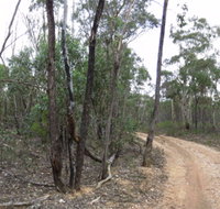 Paddys Ranges State Park - Accommodation in Brisbane