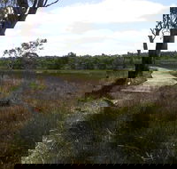 Penola Conservation Park - Accommodation in Brisbane