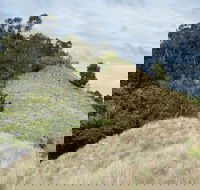 Pieries Peak Walking Track - Accommodation in Brisbane