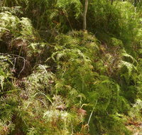 Powder Magazine walking track - Accommodation in Brisbane