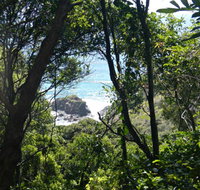 Rainforest Walking Track Hat Head National Park - Accommodation in Brisbane