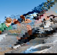 Sapphire - Accommodation in Brisbane