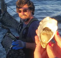 Southern Yorke Oysters - Accommodation in Brisbane