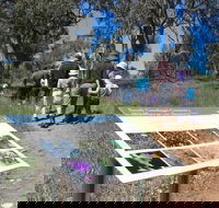 South Gundagai Woodlands Walk - Accommodation in Brisbane