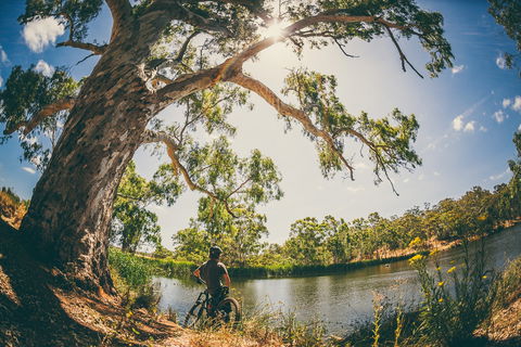 Sturt Gorge Recreation Park - Accommodation in Brisbane 0