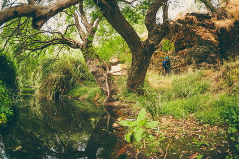 Sturt Gorge Recreation Park - Accommodation in Brisbane 1