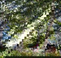 The Outlook Riding Academy - Accommodation in Brisbane