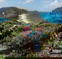 Torndirrup National Park - Accommodation in Brisbane