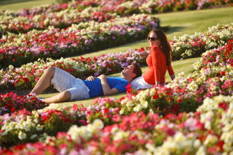 Victoria State Rose Garden At Werribee Park - Accommodation in Brisbane 1