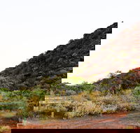 Whyalla Conservation Park - Accommodation in Brisbane