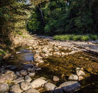Wilson River picnic area - Accommodation in Brisbane