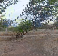 Alexander Forest Memorial - Accommodation in Brisbane