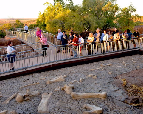 Australian Age Of Dinosaurs - Accommodation in Brisbane 0