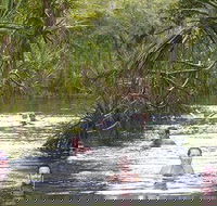 Berry Springs - Accommodation in Brisbane