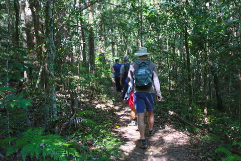 Booloumba Falls Walk, Conondale National Park - Accommodation in Brisbane 1