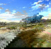 Bullocks walking track - Accommodation in Brisbane