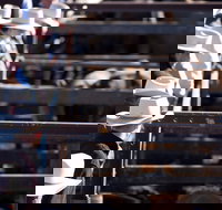 Dalby - Accommodation in Brisbane