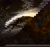 Dennings Labyrinth - Accommodation in Brisbane