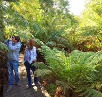 Endeavour Fern Gully Walks - Accommodation in Brisbane