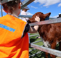 Farm Visit  Dungog - Accommodation in Brisbane
