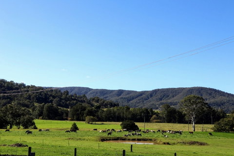 Farm Visit  Dungog - Accommodation in Brisbane 1
