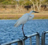 Groper Creek - Accommodation in Brisbane