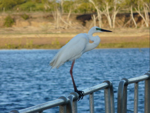 Groper Creek - Accommodation in Brisbane 0