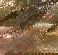 Kholo Gardens Trails - Accommodation in Brisbane