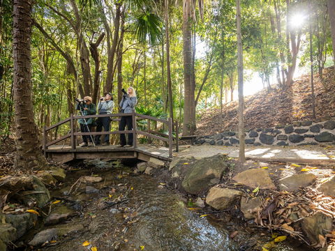 Kholo Gardens Trails - Accommodation in Brisbane 1