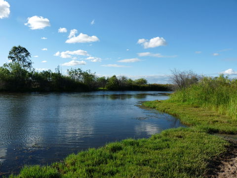 Lagoon Creek - Accommodation in Brisbane 2
