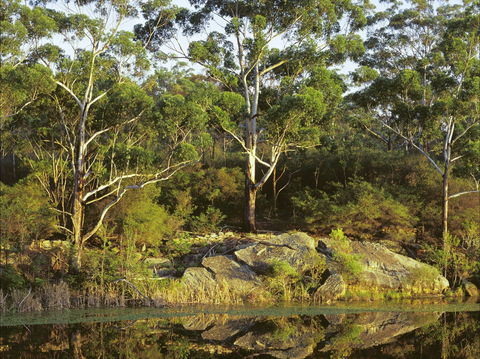 Lake Parramatta Reserve And Recreation Area - Accommodation in Brisbane 1