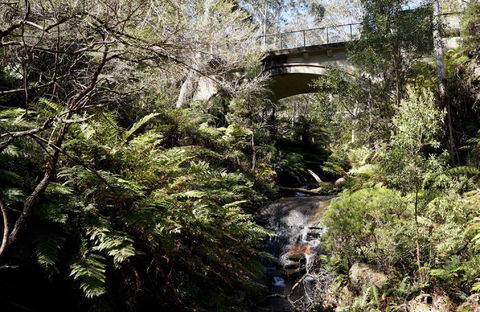 Leura Cascades - Accommodation in Brisbane 2