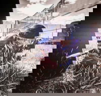 Luddenham Raceway Paintball - Accommodation in Brisbane