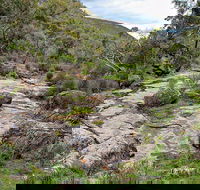Lynchs Loop Trail - Accommodation in Brisbane