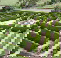 Mintaro Maze - Accommodation in Brisbane