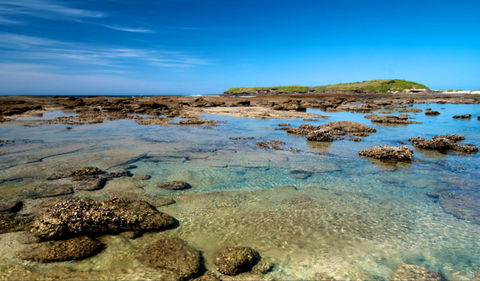 Moonee Beach Trail - Accommodation in Brisbane 0