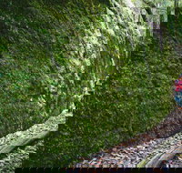 Morisset - Accommodation in Brisbane